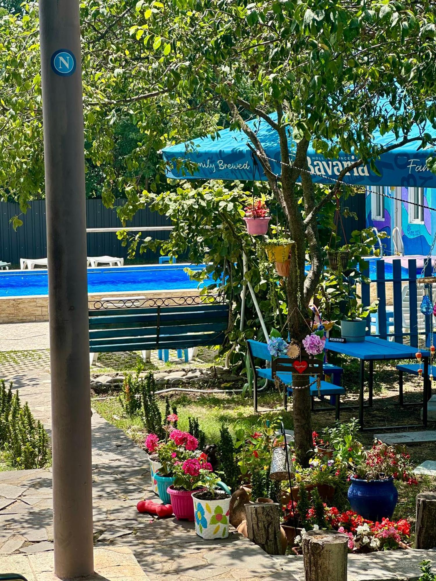 Napoli Nataxtari Hotel,Pool,Bar,Kamping Natakhtari Kültér fotó